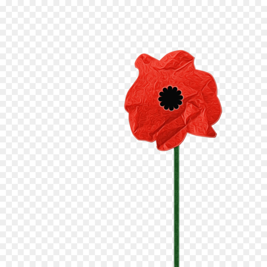 red flower poppy coquelicot petal