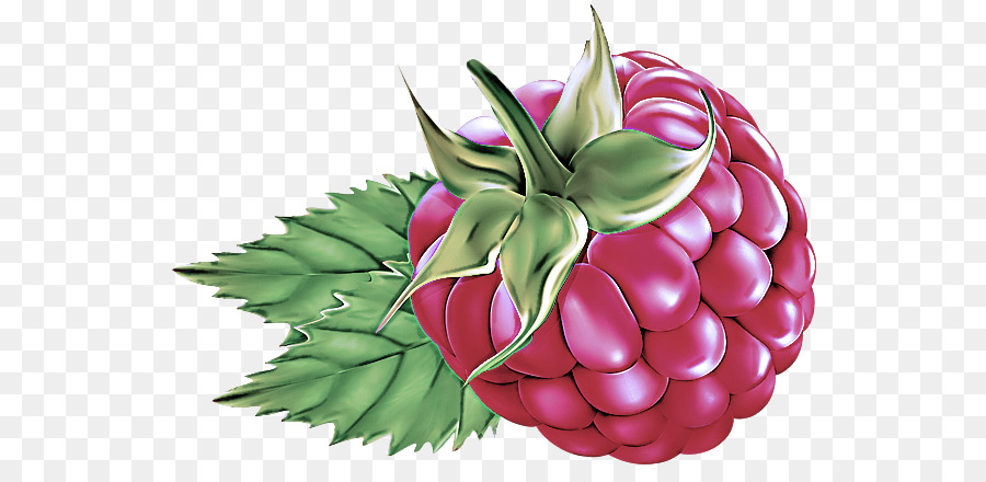 Alimenti naturali Frutta foglia di piante rosa - 