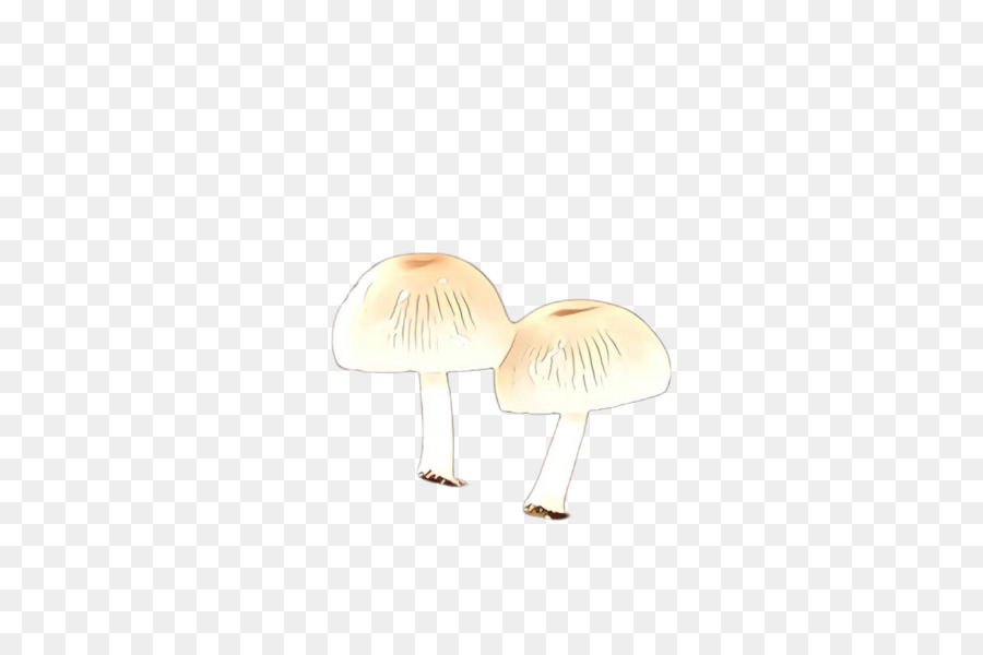 fungo bianco beige - 