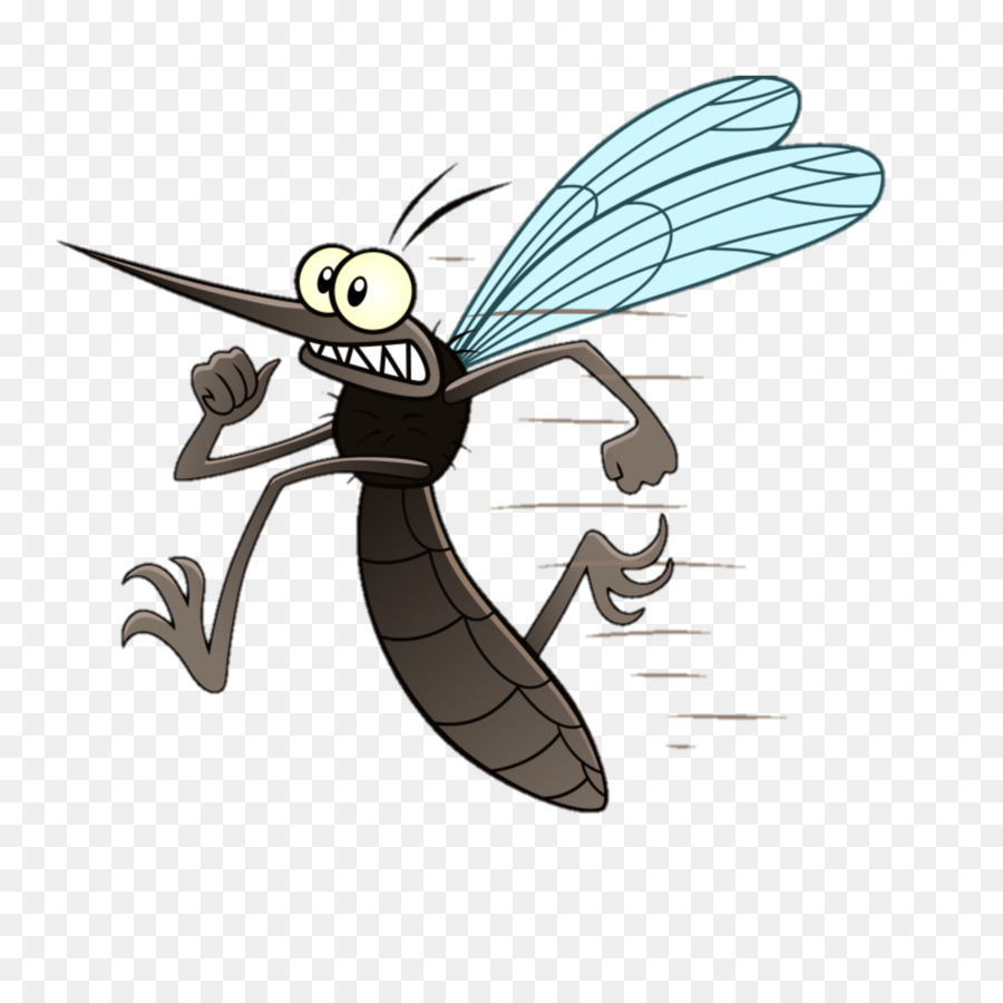 Insekten Libellen und Damselflies Cartoon Flügel Membranflügel Insekt - Linie Dengue Fieber