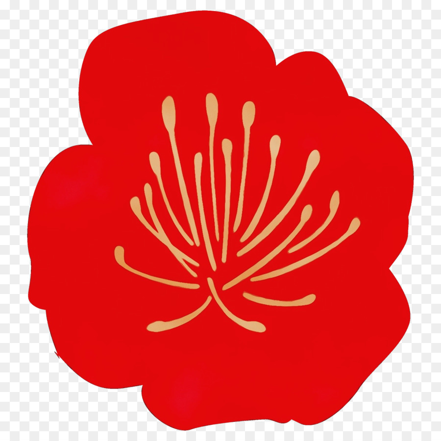 fiore rosso pianta petalo di ibisco - 