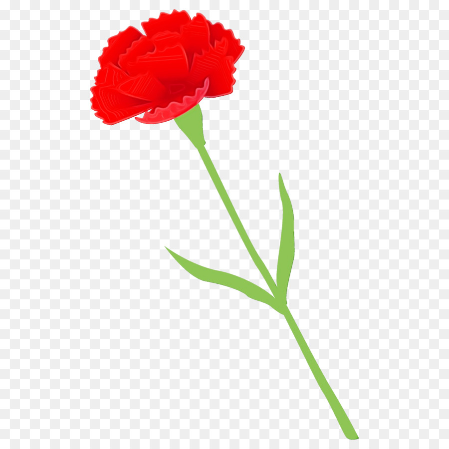 Blume Pflanze rote Nelke Pflanzenstamm - 