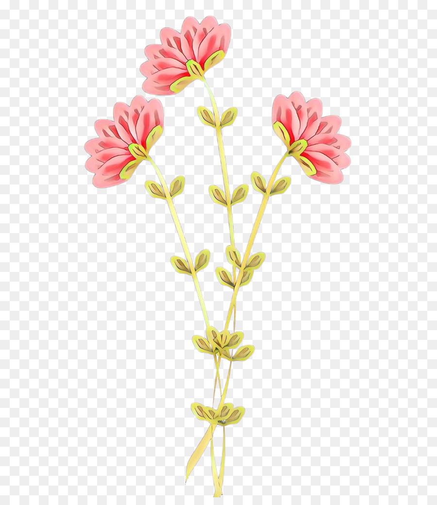 Blume Schnittblumen Pflanze Stiel Pflanzenstamm - 