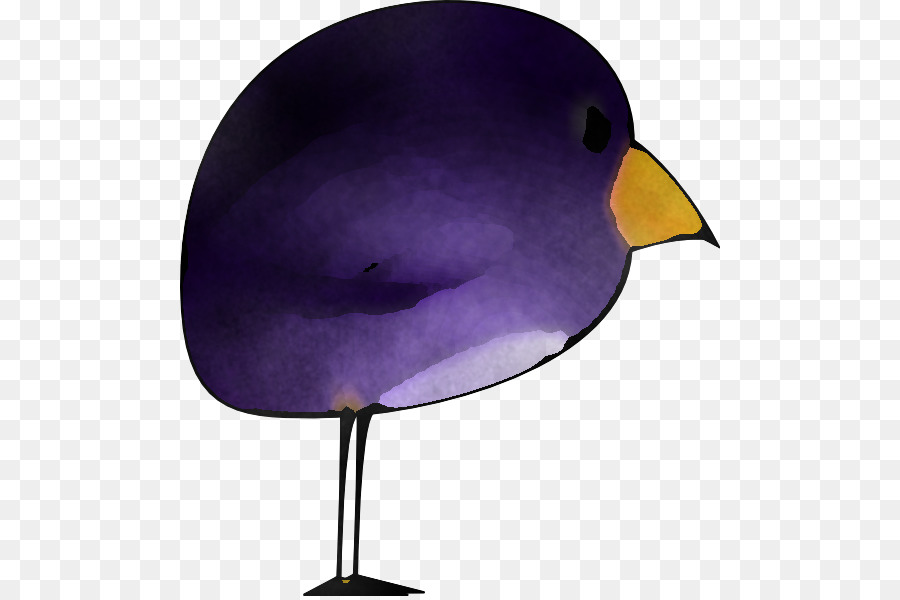 chim màu tím violet mỏ chim nước - 