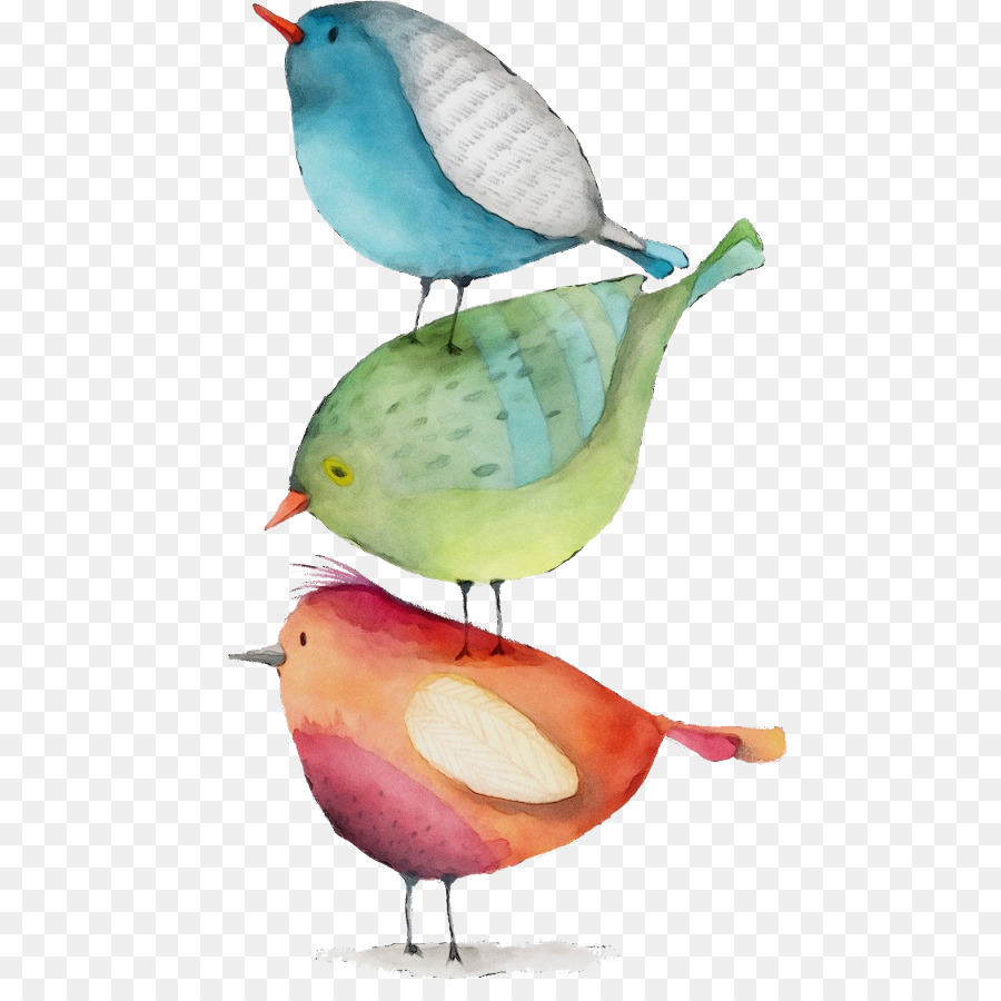 bird beak perching bird songbird