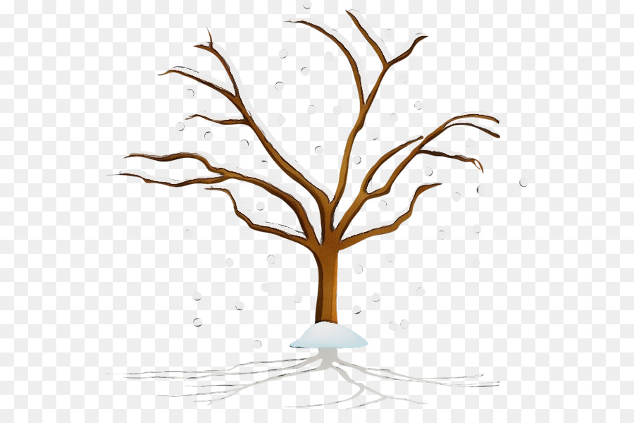 ramo di albero foglia ramoscello pianta legnosa - 