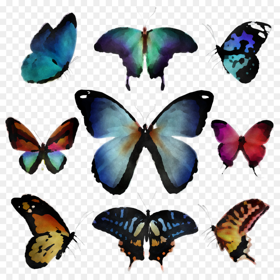 farfalle e farfalle impollinatori apatura - 