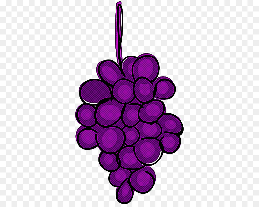 grape violet purple grapevine family vitis