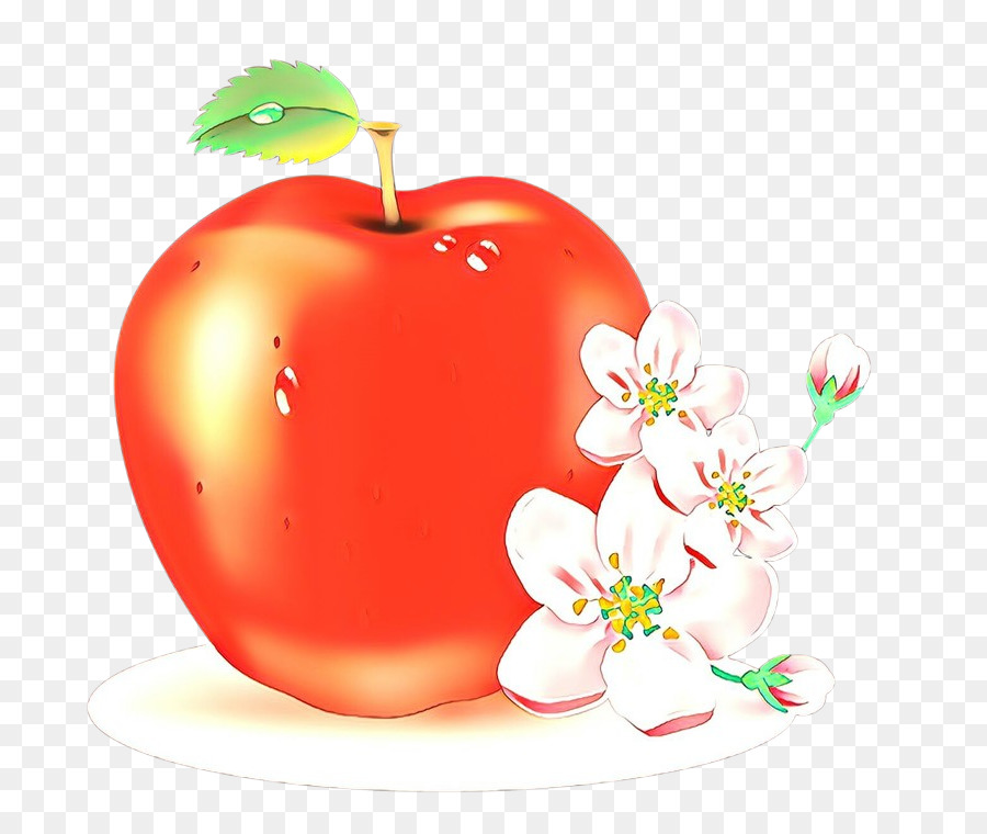 Apfelfrucht Pflanzenfutter Malus - 