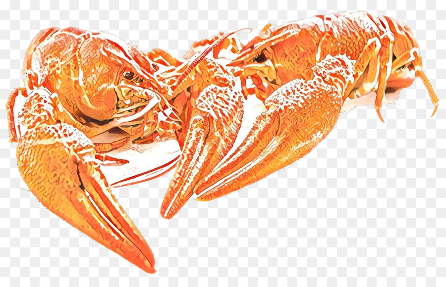 litopenaeus setiferus shrimp botan shrimp dendrobranchiata lobster
