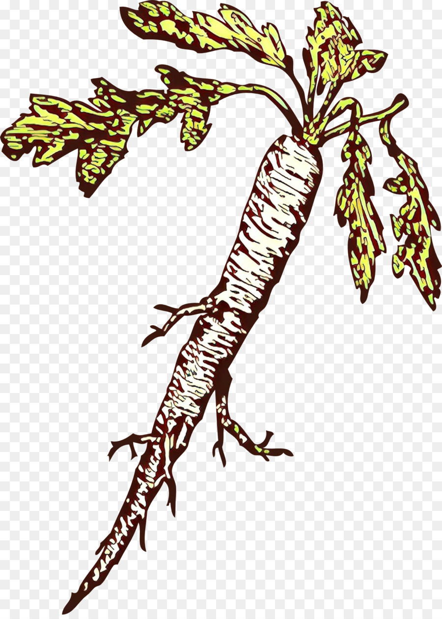 Pflanze Blatt Baum - 