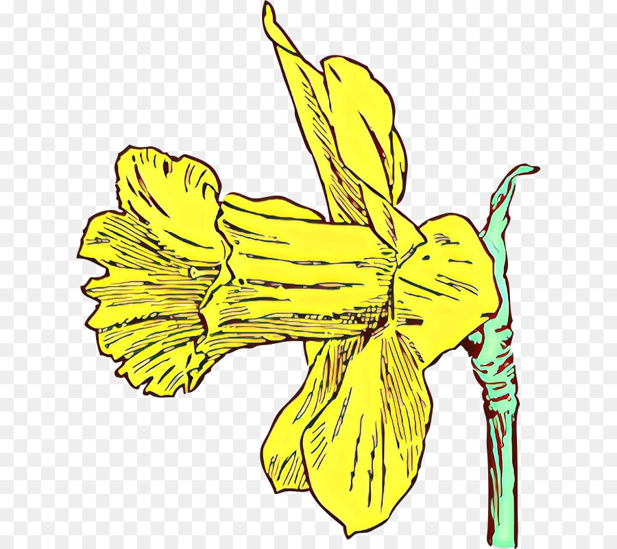 gelbe Blütenpflanze Narzisse Taglilie - 