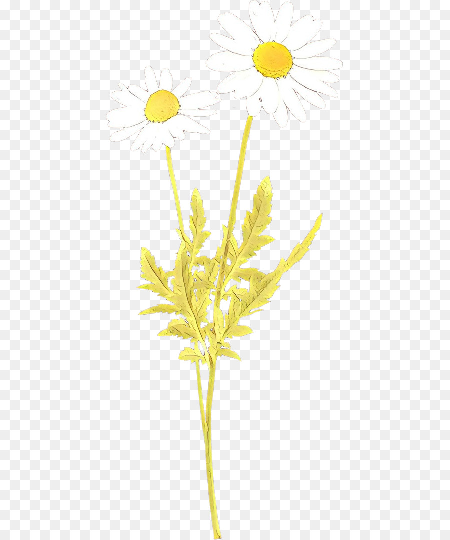 gambo della pianta di peduncolo fiore pianta gialla - 