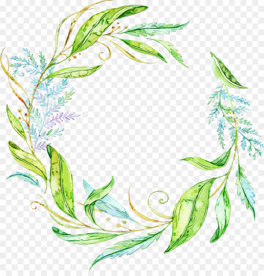 leaf plant tarragon herbal
