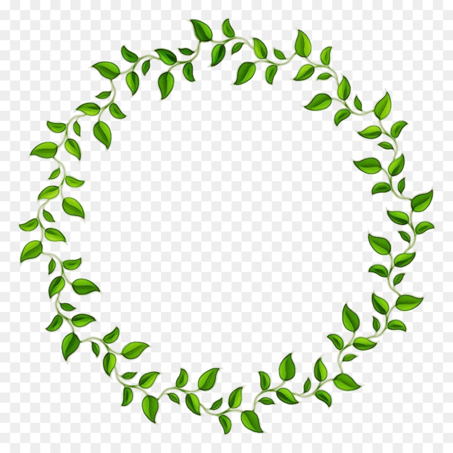 leaf green plant circle