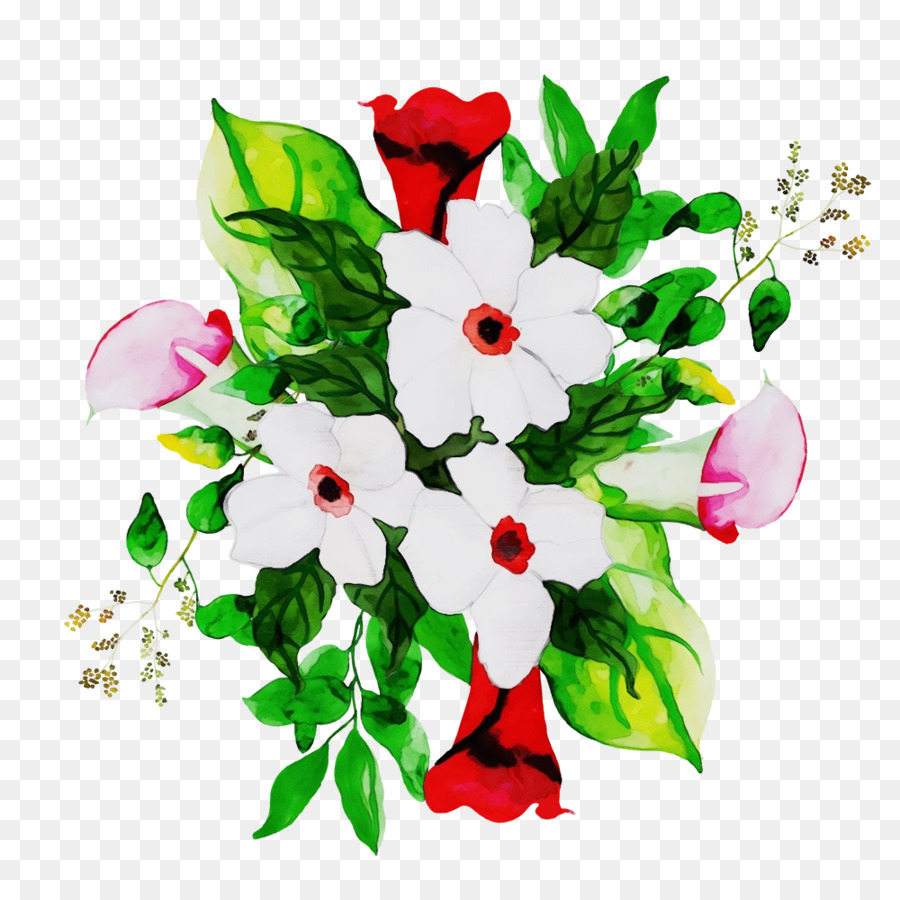 Blume Pflanze Bouquet Blütenblatt Schnittblumen - 
