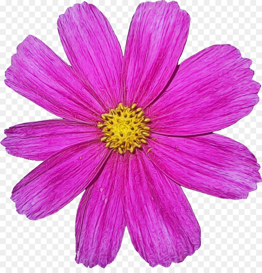 Blütenblatt Pflanze rosa violett - 