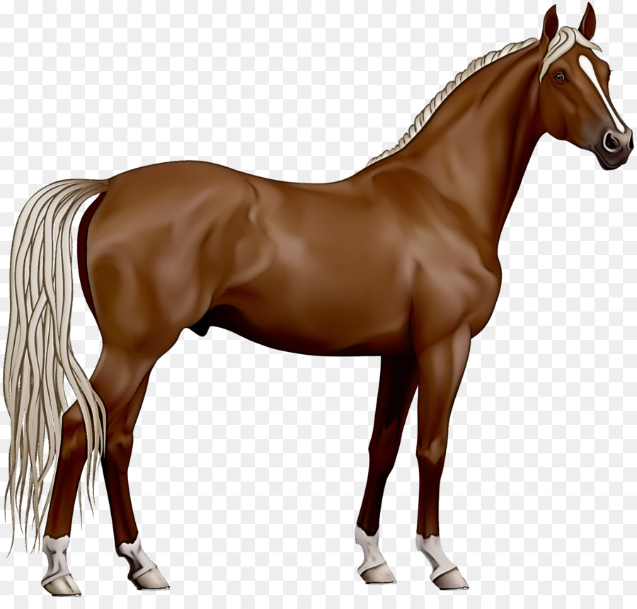 Pferd Tierfigur Sauerampfer Stute Mähne - 