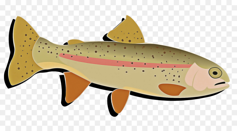 fish brown trout fish trout salmon