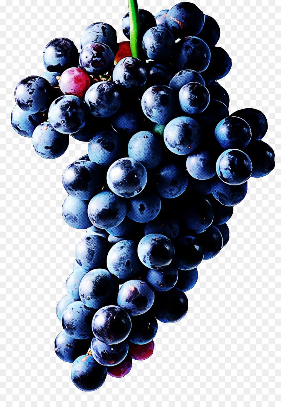 Traubenfrucht kernlose Frucht Weinrebe Familie Beere - 