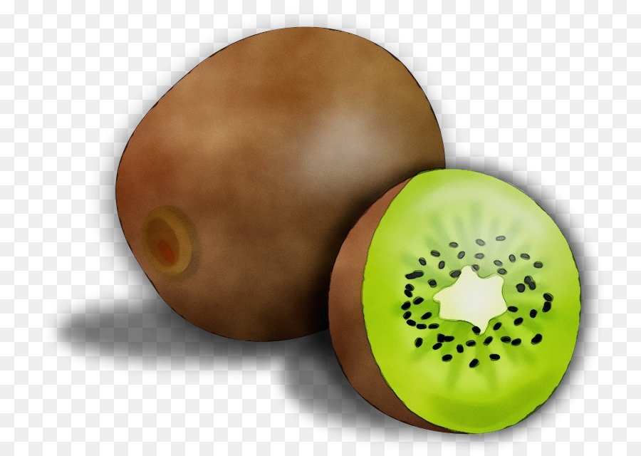 kiwifruit fruit plant