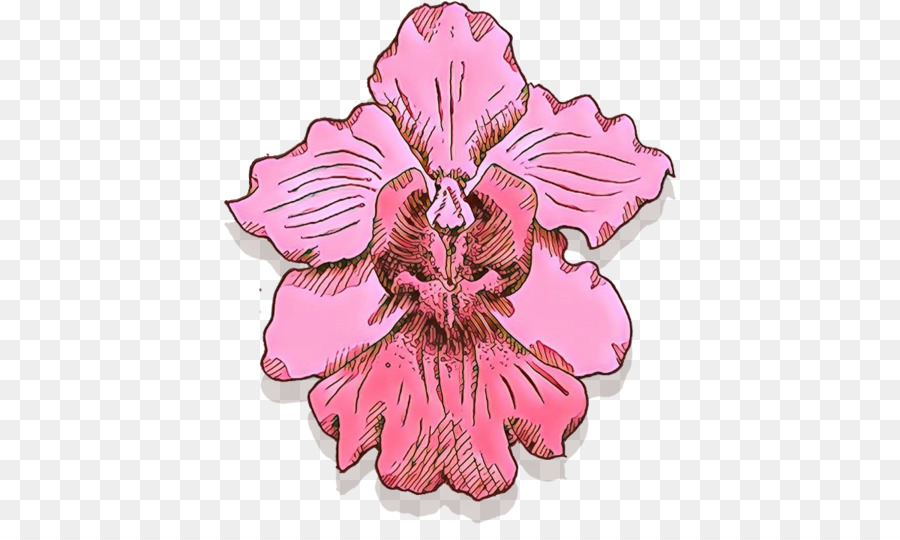 fiore rosa pianta petalo ibisco - 