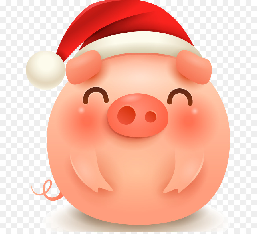Weihnachtsmann - Weihnachtsgeschenk Schwein Kopf