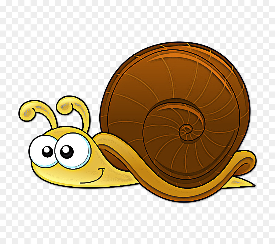 ốc sên và ốc sên ốc biển sên lymnaeidae - 