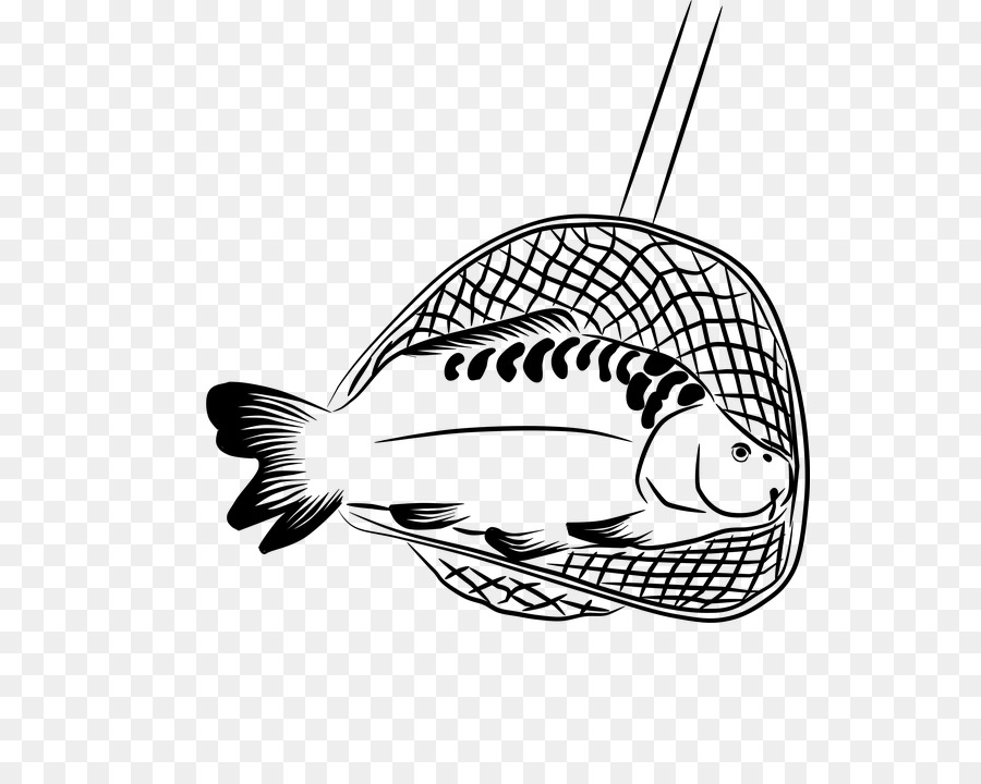 Fisch Fisch Linie Kunst Malbuch schwarz-weiß - Fischnetz transportieren