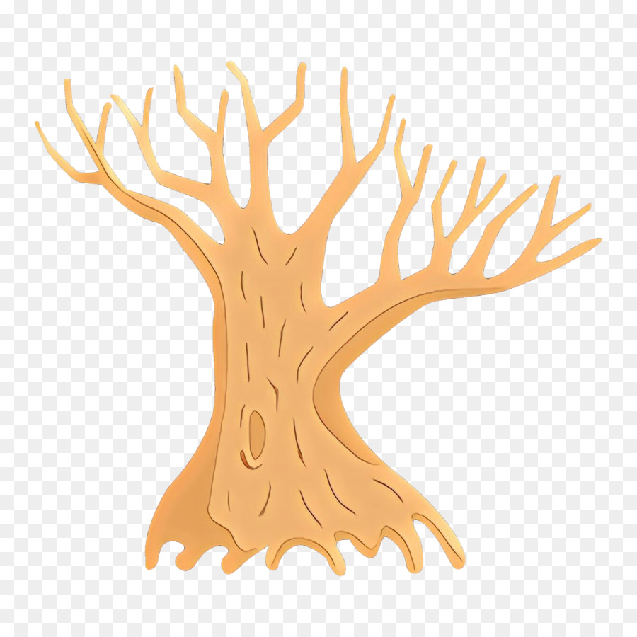 ramo di un albero corallo pianta legnosa pianta - 