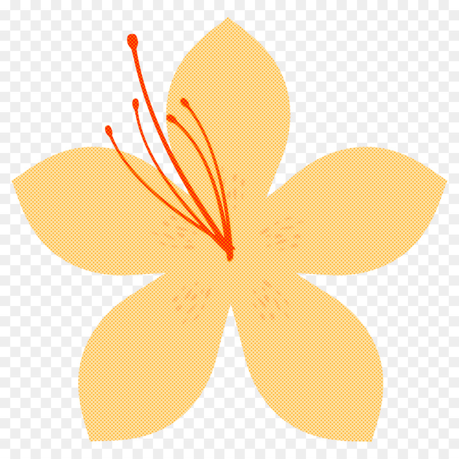 Blütenblatt Blattblume Pflanze Hibiskus - 