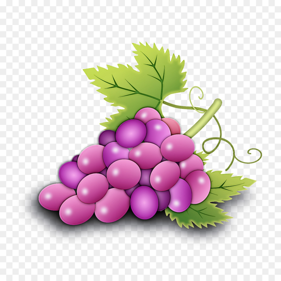 uva senza semi frutta vite famiglia di piante da frutto - 