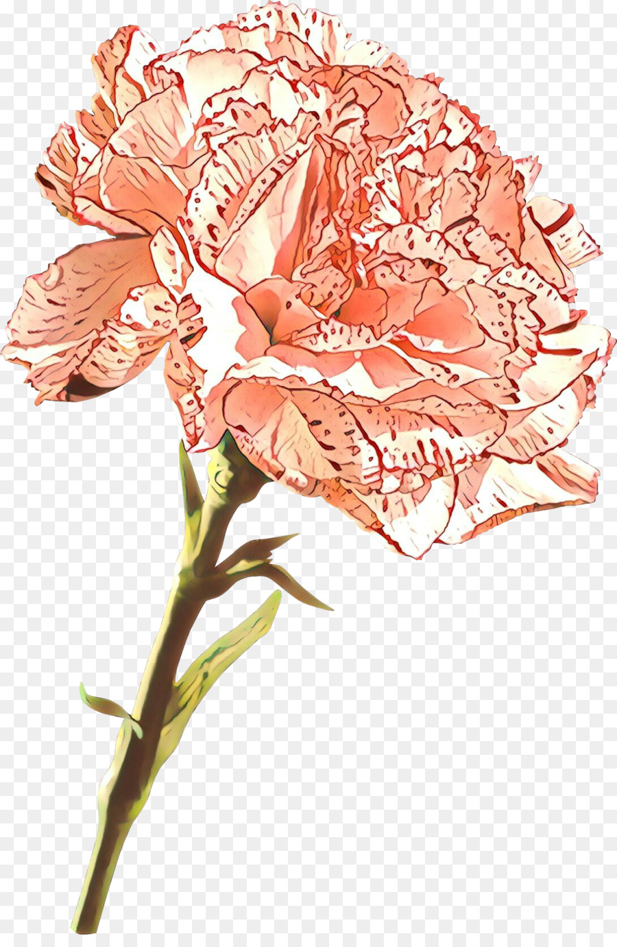 hoa cắt hoa cây màu hồng thân cây - 
