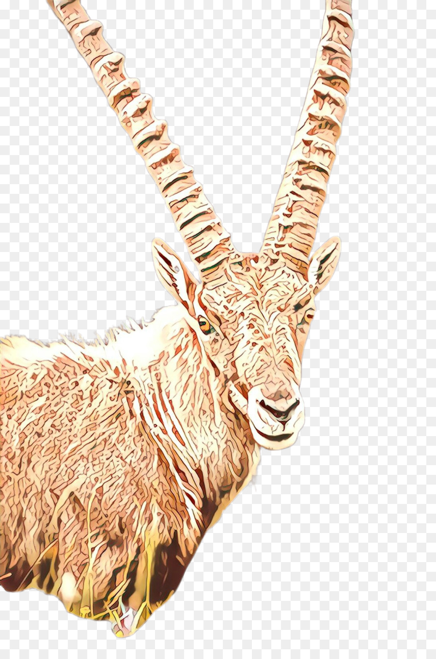 famiglia di capre mucca capra corno waterbuck corno di antilope - 