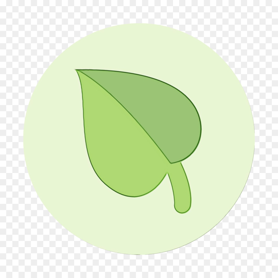 frutta verde dell'albero della pianta della foglia - 