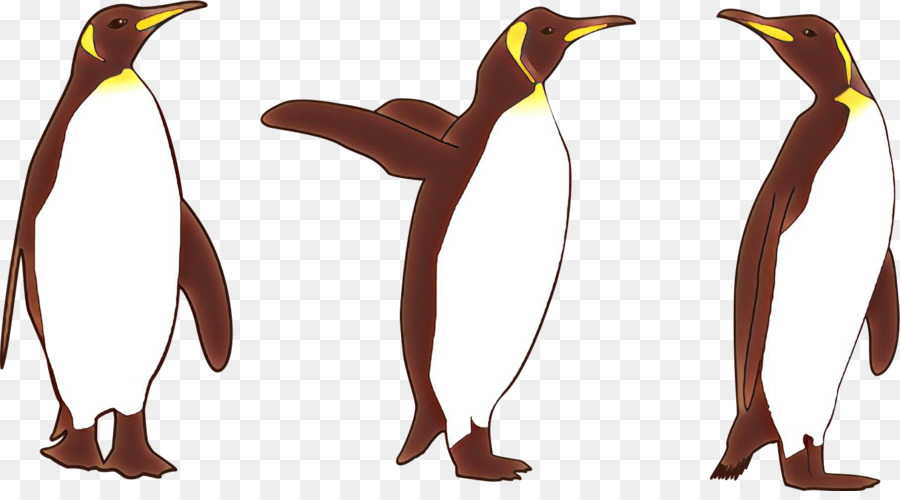 Chim cánh cụt - 