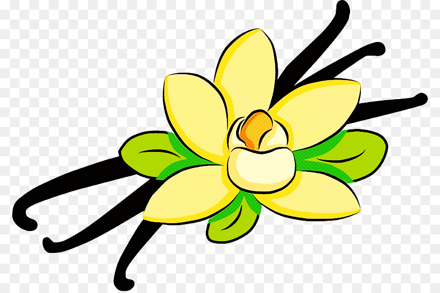 pianta del fiore verde petalo giallo - 