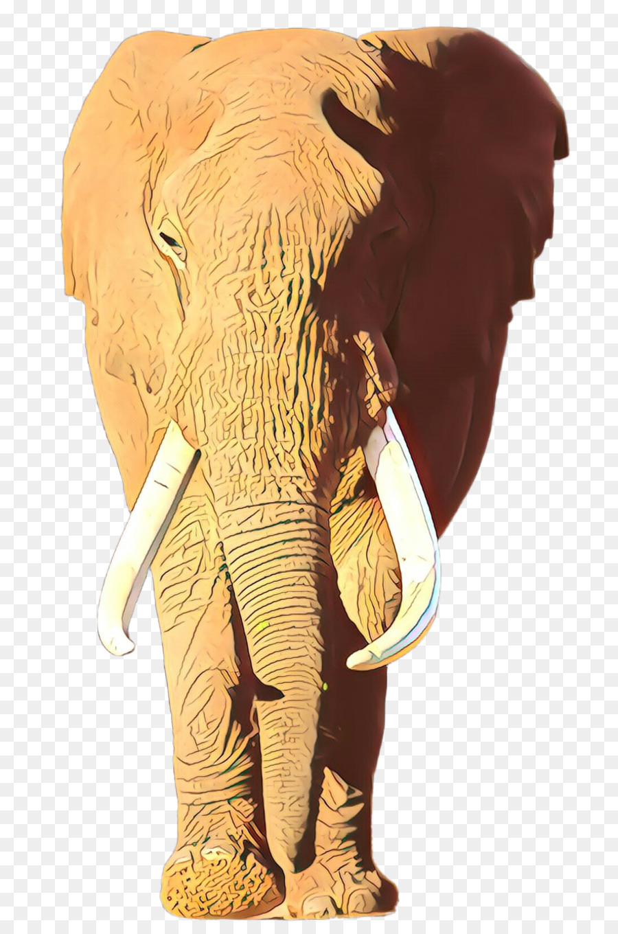 Indische Elefanten - 