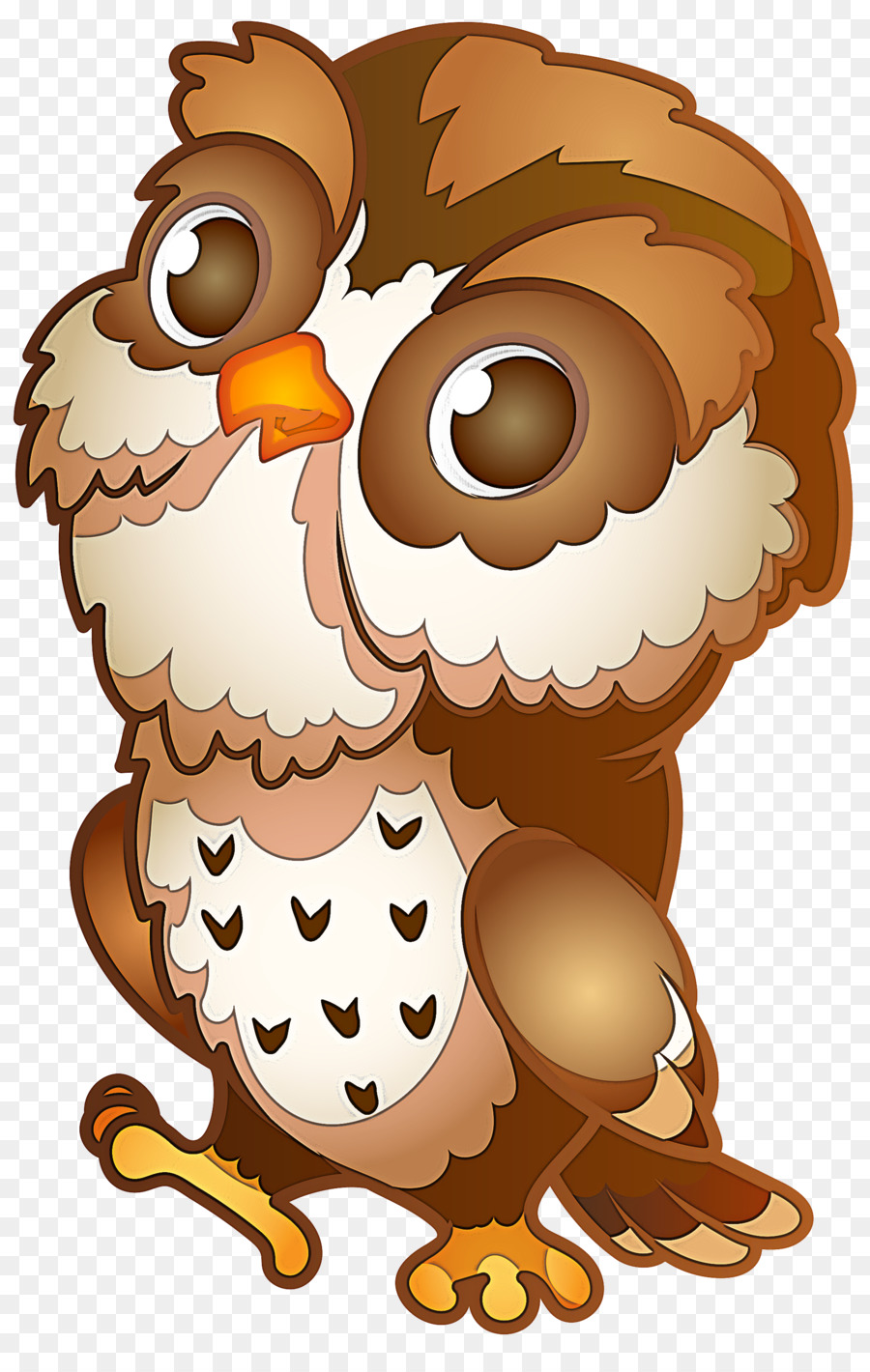 owl cartoon bird of prey bird
