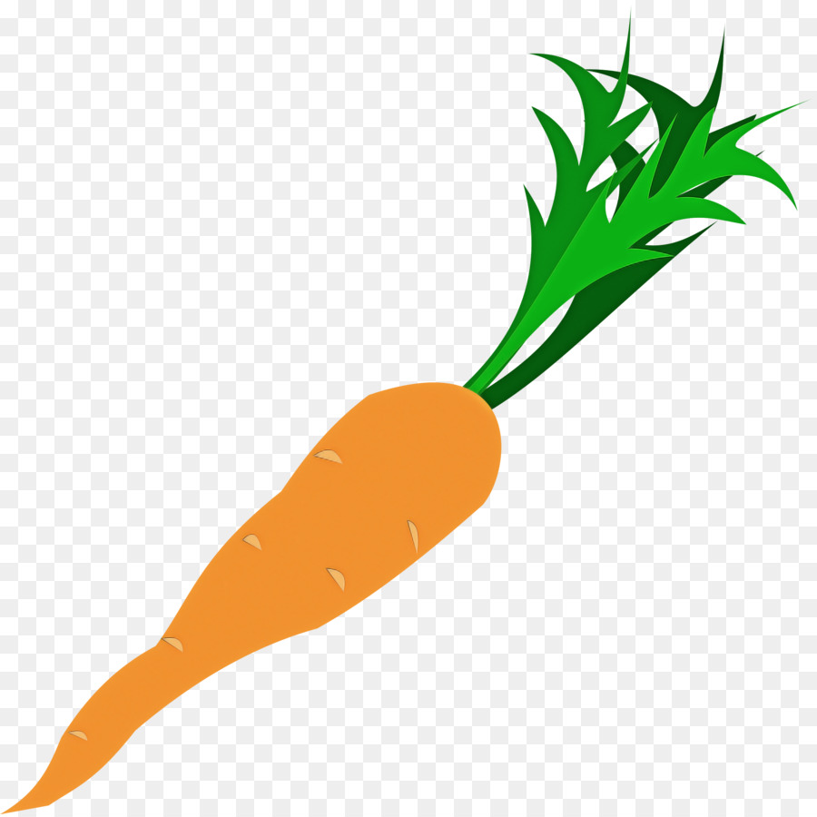 Karottenwurzel Gemüse Gemüse Rettich Baby Karotte - 