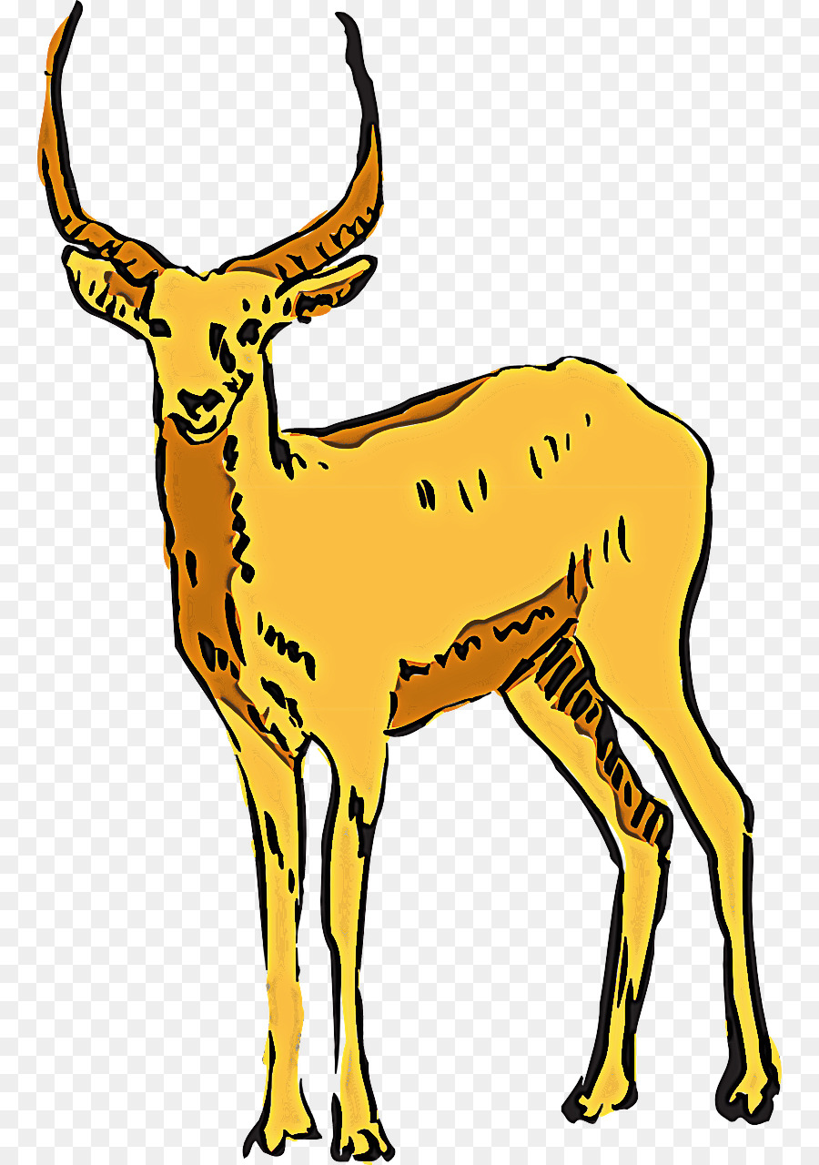 fauna selvatica antilope cervo camoscio mucca-capra famiglia - 
