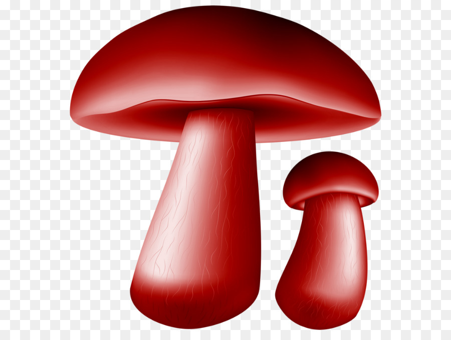proprietà del materiale del fungo commestibile dell'agarico rosso del fungo - gelatina png vettoriale