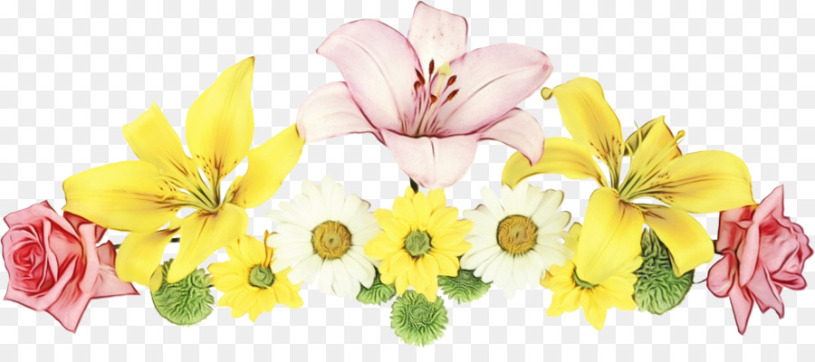 petalo fiore giallo pianta fiori recisi - 