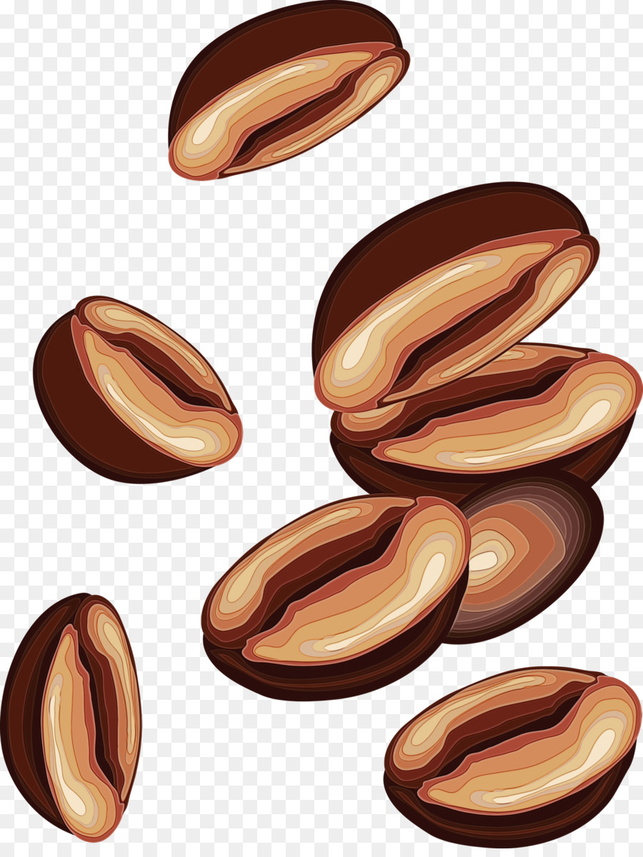 Nussnahrung Nüsse & Samen Pflanzenholz - 