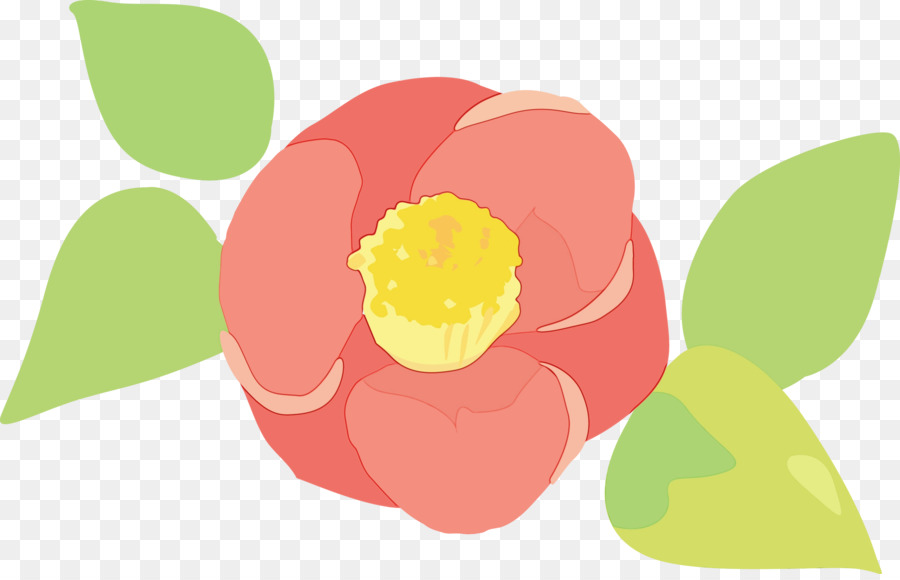 rosa Tulpenblumenblumenblattanlage - 