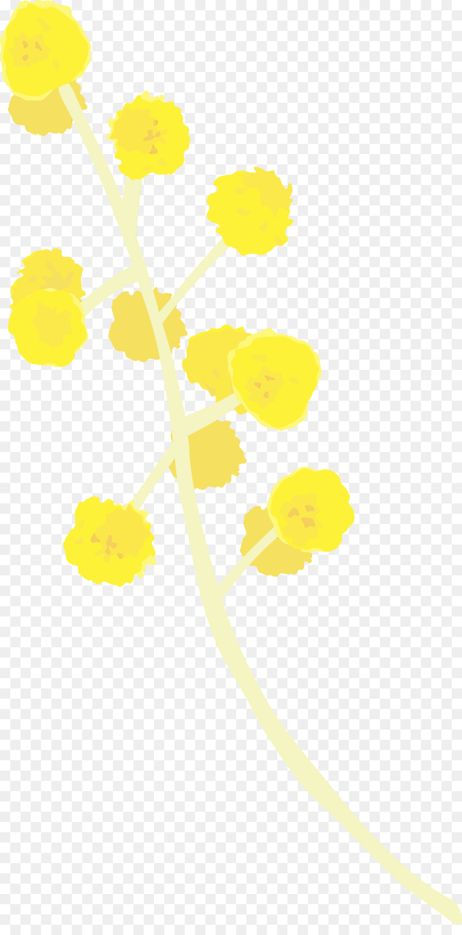 gelbe Linie Pflanze Blume - 