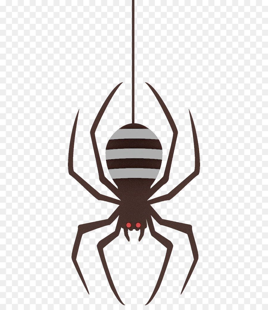 Spider Halloween - 