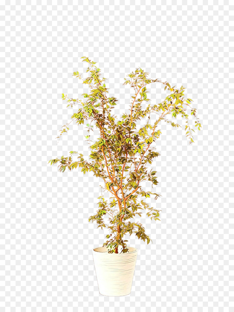 Baum Blume Pflanze gelbe Niederlassung - 