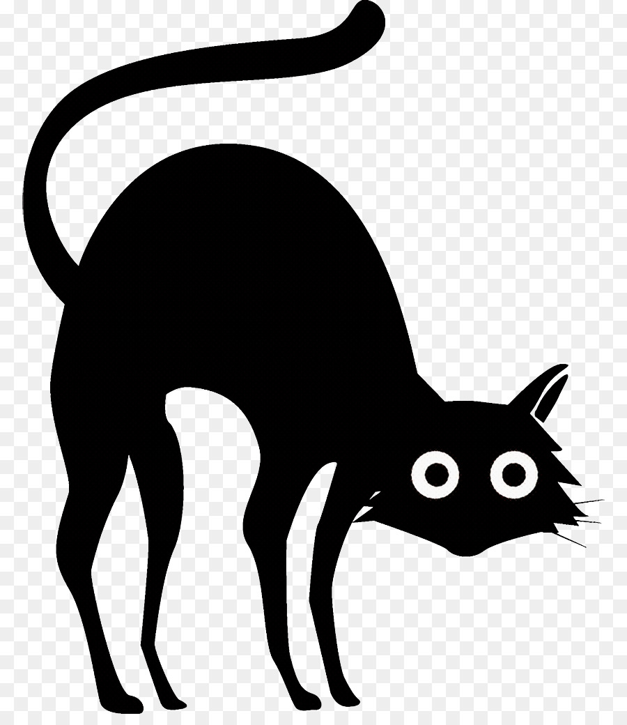 black cat halloween cat png download - 836*1026 - Free Transparent Black Cat  png Download. - CleanPNG / KissPNG