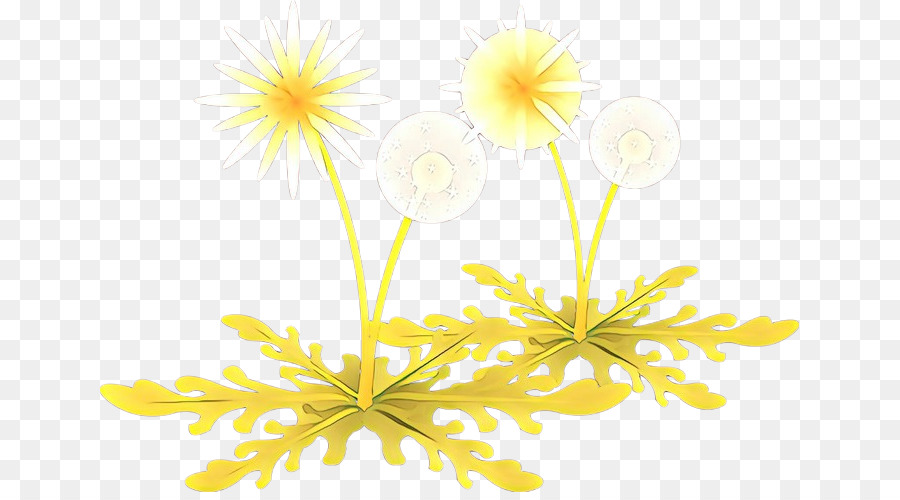 yellow flower plant petal wildflower
